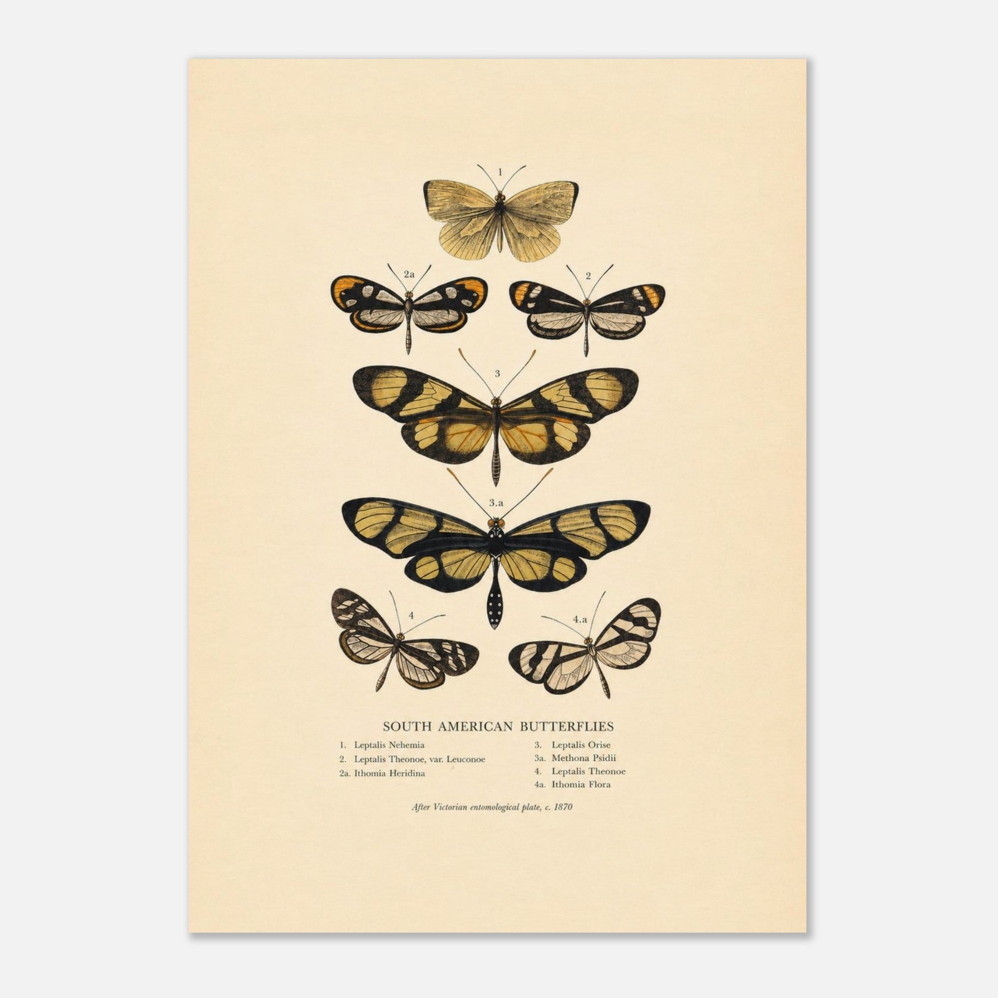 03b2bf8f-a806-48ae-928f-6ee563e29e54