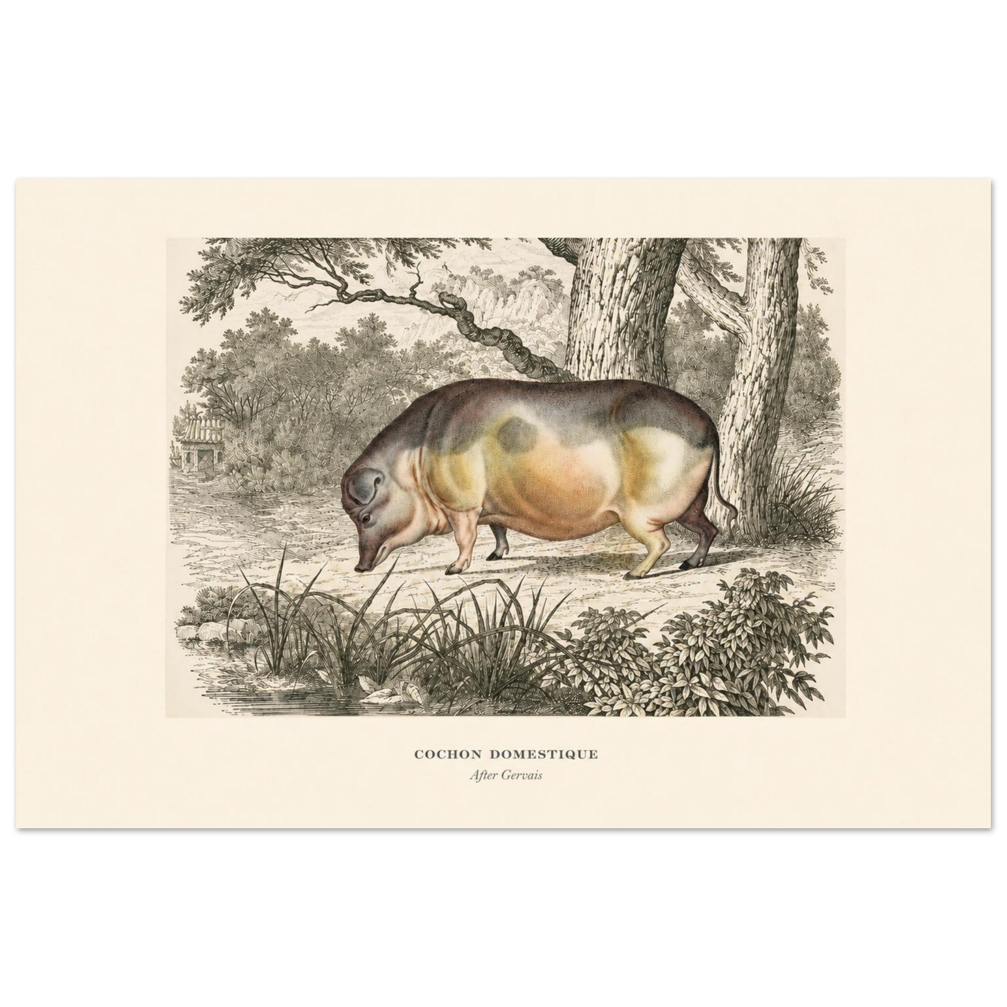 a47edbc5-279e-4912-8a2d-a00bff3514d3