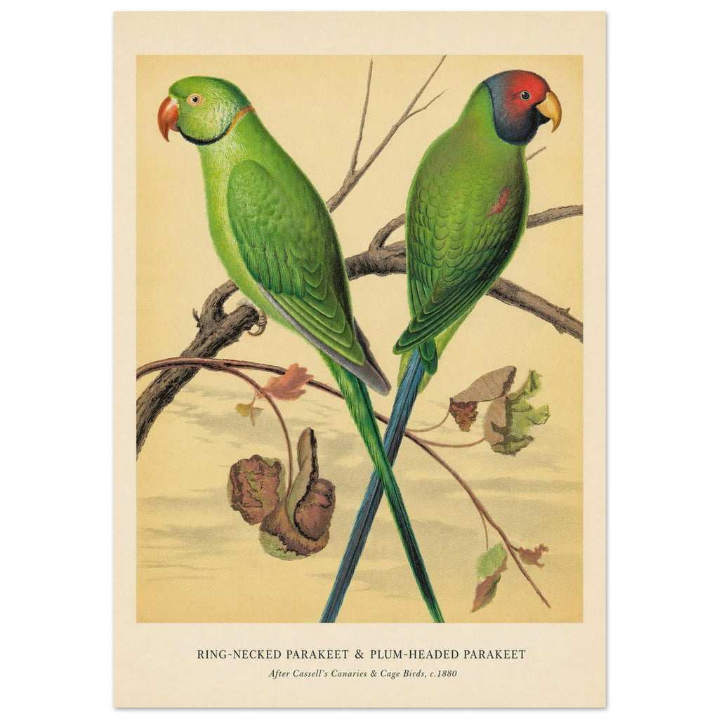 d40fb33a-d29b-4e47-9b73-816fe16f4bc7