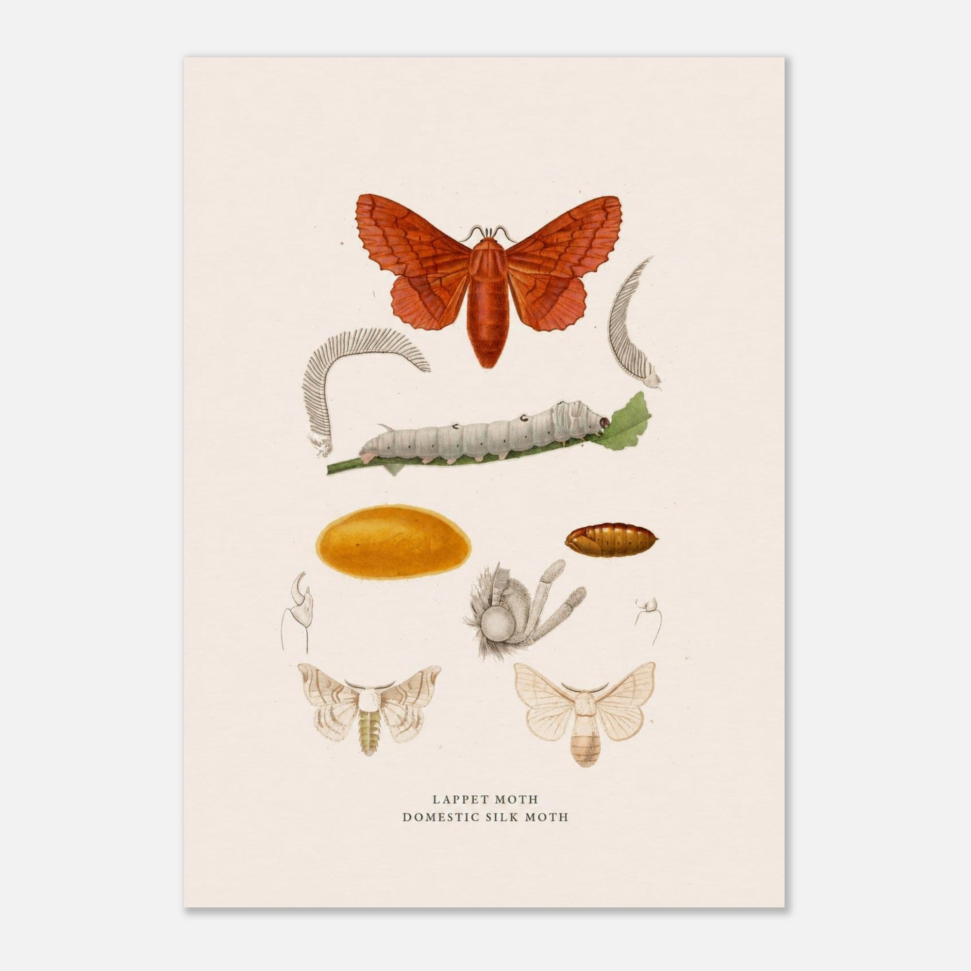 e29e657f-b78d-4fcb-adec-30dbb05cf0a0
